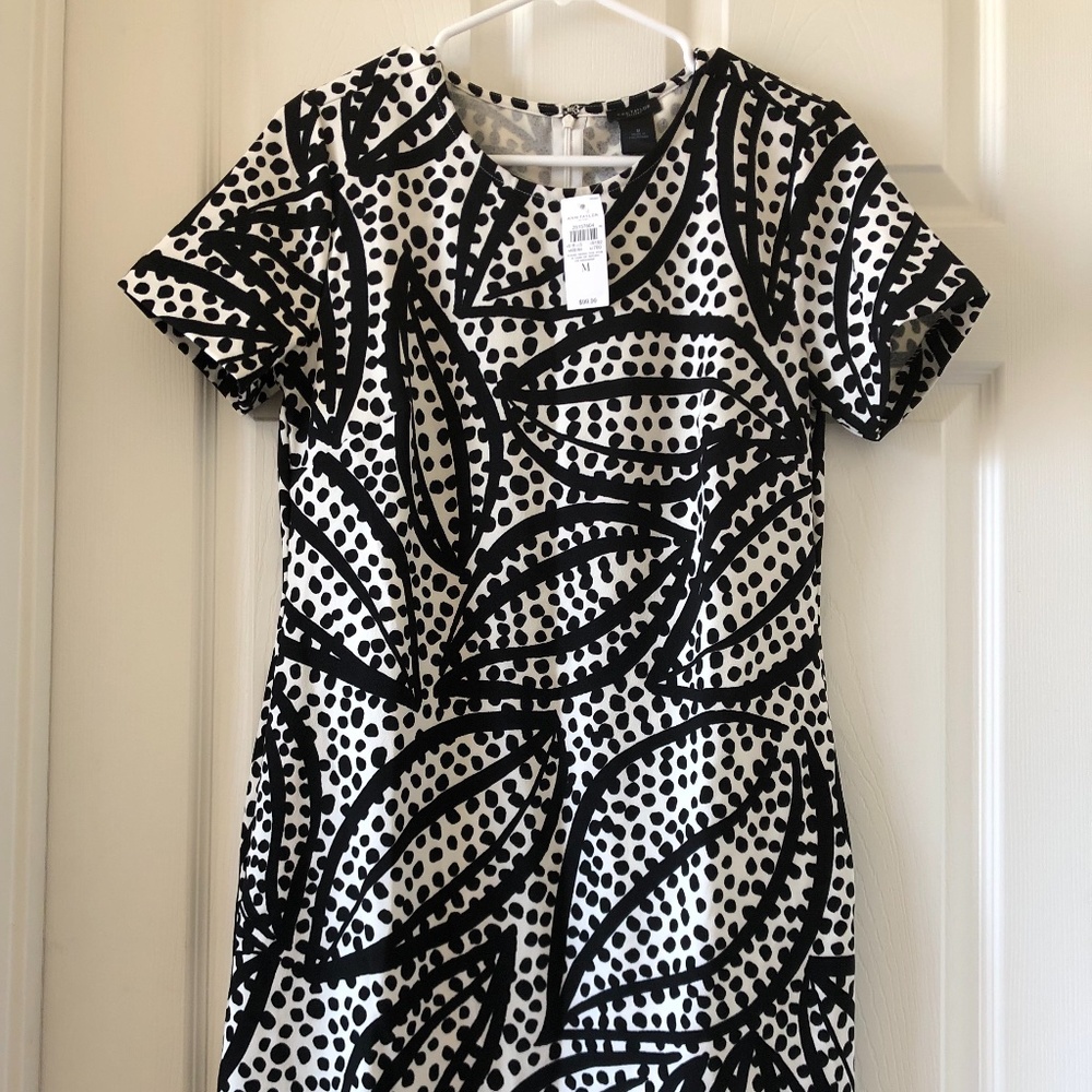 NEW ANN TAYLOR DRESS (M)
